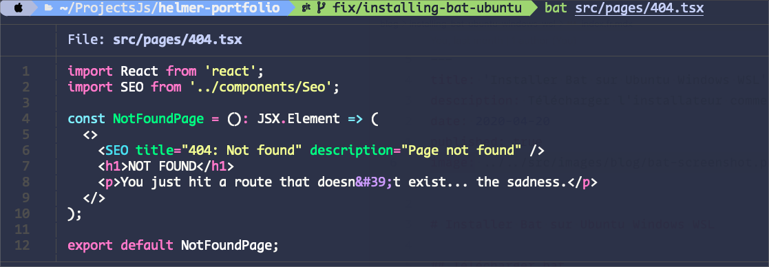 Installing Bat in Ubuntu Windows WSL